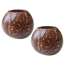 2 x Coconut Shell Zig Zag Handmade Planter for Succulents, Small Cacti, Herbs