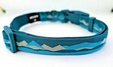 AZUZA ADJUSTABLE FASHION DOG COLLAR - MEDIUM -  TEAL