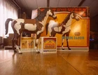 VINTAGE MARX BEST OF THE WEST STORM CLOUD PINTO HORSE, BLANKET & 1970'S BOX
