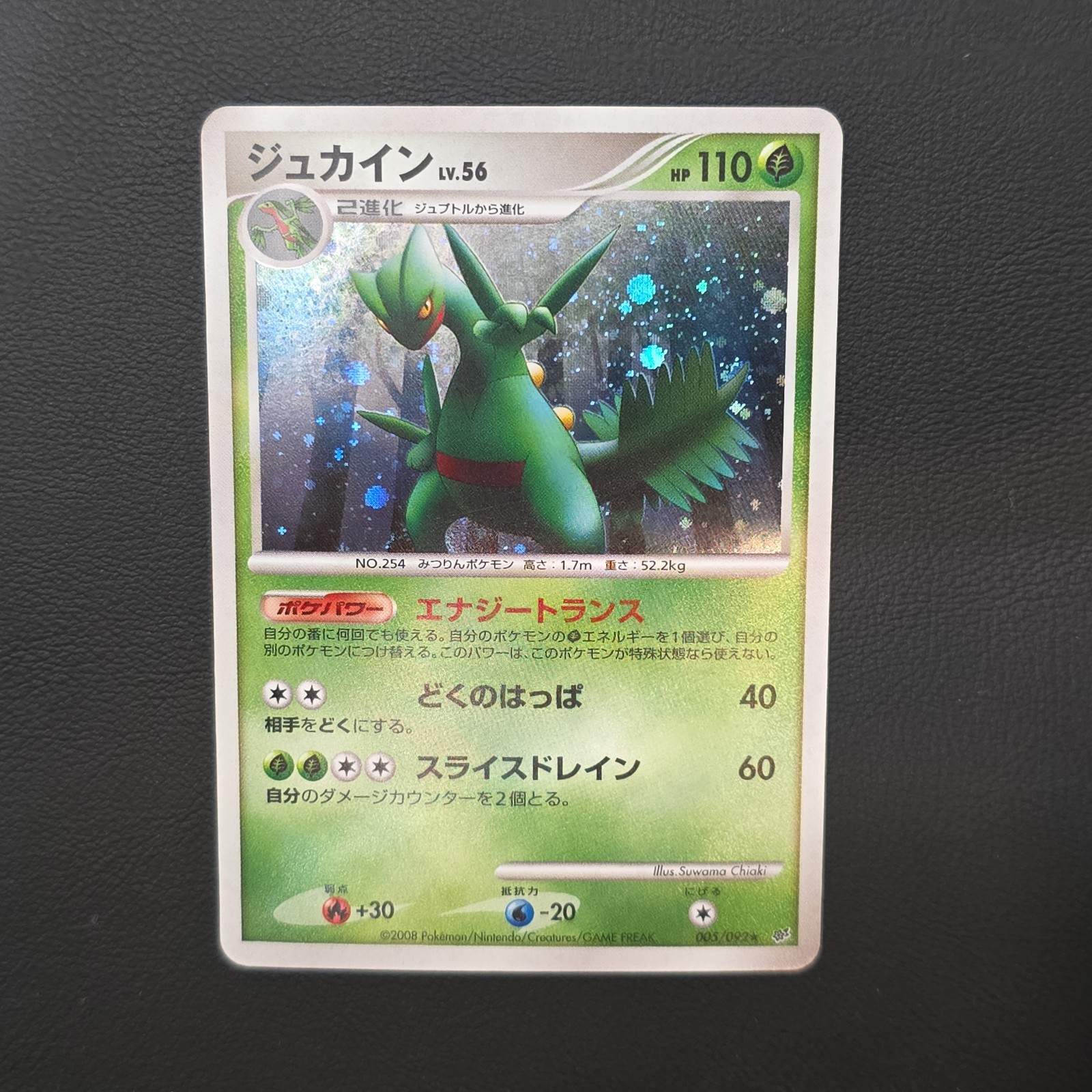 Sceptile Stormfront 005/092 Unlimited 2008 Japanese Rare Holo - NM