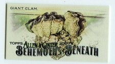 Behemoths Beneath #17 Giant Clam 2020 Topps Allen & Ginter Insert Single