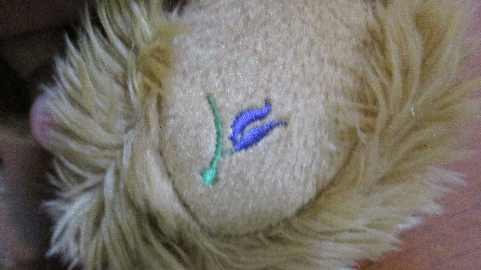 Imagen 3 de 4