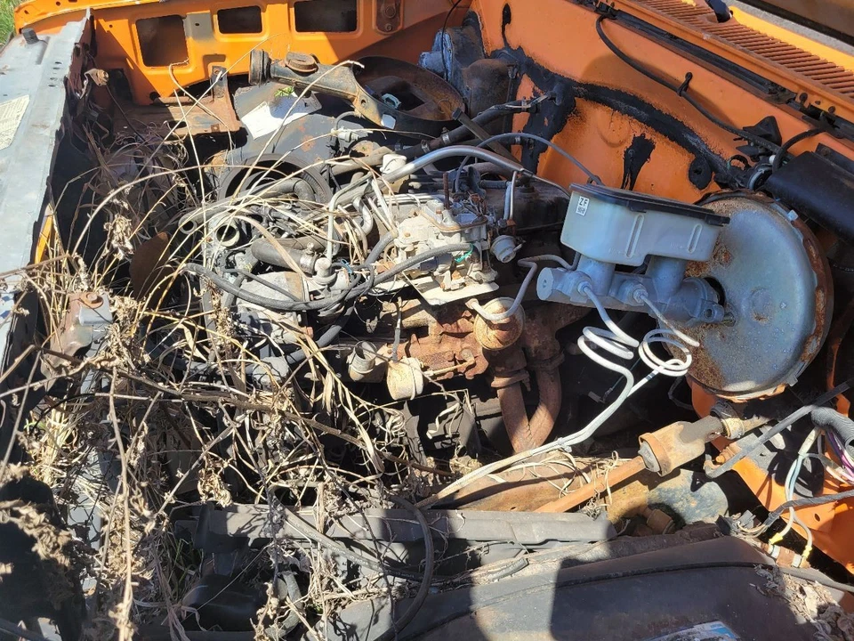 1982 CHEVOLET GMC 4.1 Passenger Window Regulator Fits 81-91 GMC PICKUP - Image 3 of 4