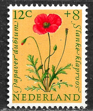 HICK GIRL-MINT NETHERLANDS STAMP   SC#B346  1960  FLOWER ISSUE   C780