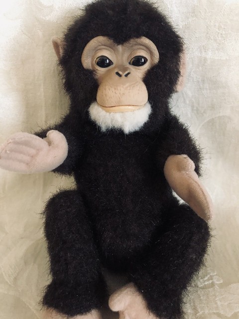 Hasbro Furreal Friends Interactive Newborn Baby Chimp Chimpanzee Monkey For Sale Online Ebay