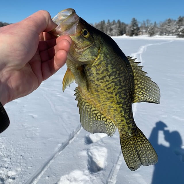 Ice Fishing Items