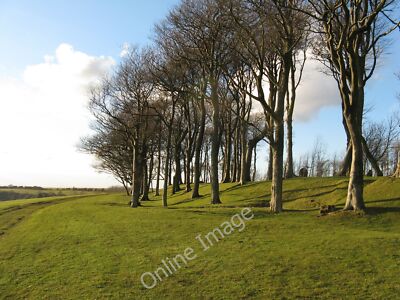 Photo 12x8 Outer ring of trees at Chanctonbury Ring Washington/TQ1212  c2011