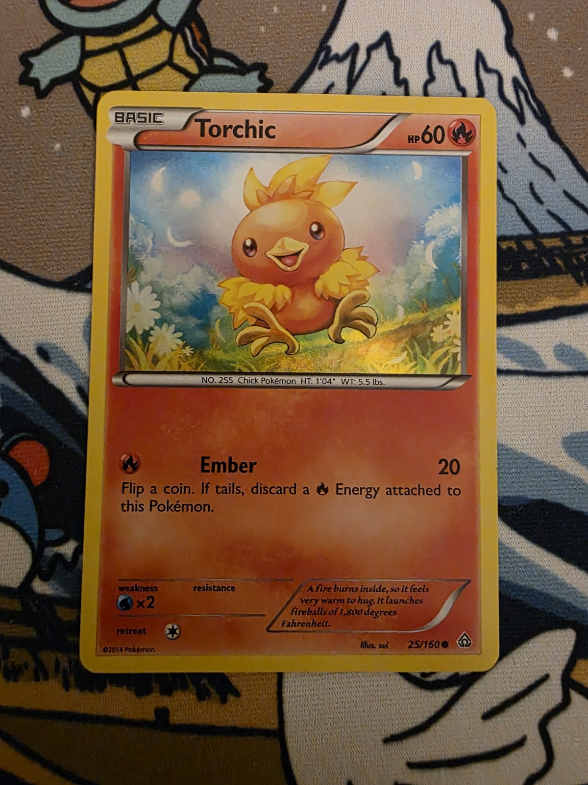 Torchic | 25/160 | Sheen Holo Collector Chest Exclusive | LP