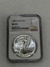 1989 Silver Eagle  NGC MS 69 Brown Label ~ Pristine ~ NO SPOTS (079)