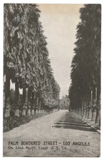 Los Angeles California c1908 Palm Bordered Street, Pacific Coast Steamship Co.