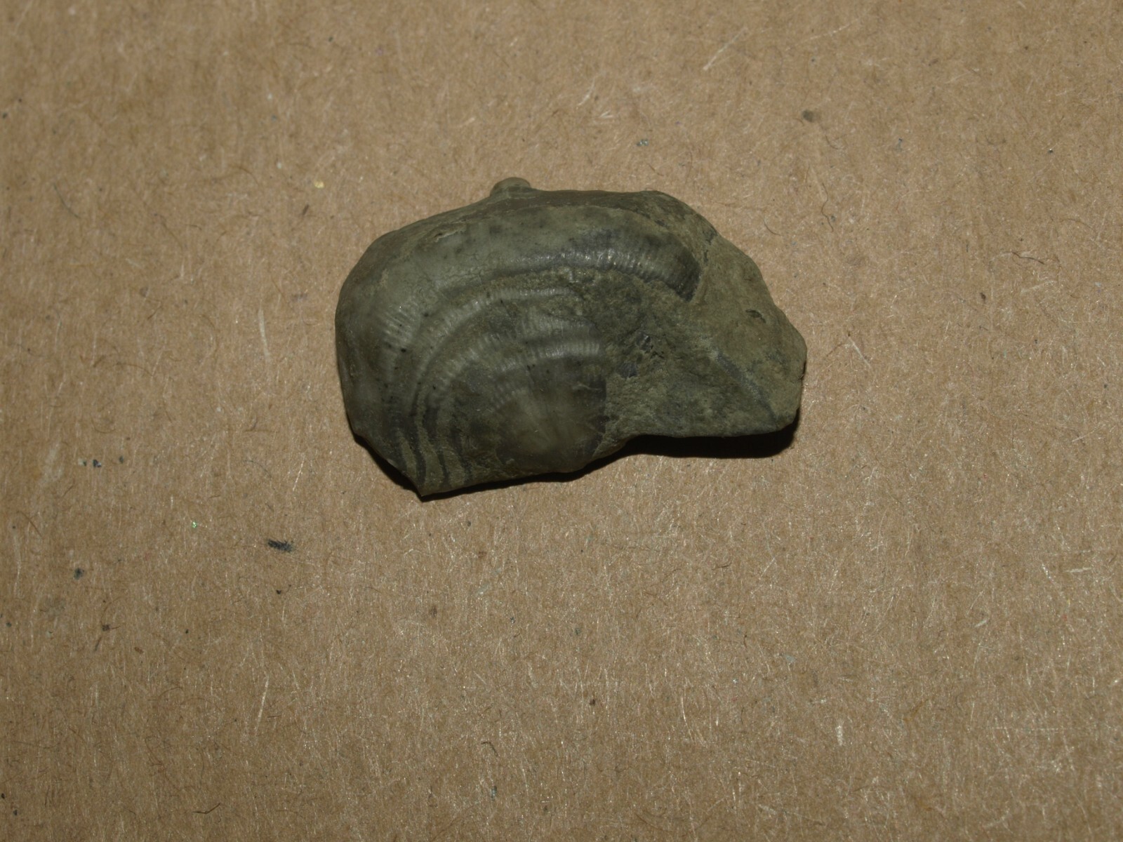 Picture 8 of 13