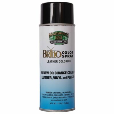 Moneysworth & Best Color Brillo Spray Leather Plastic Vinyl Paint Dye 12 oz