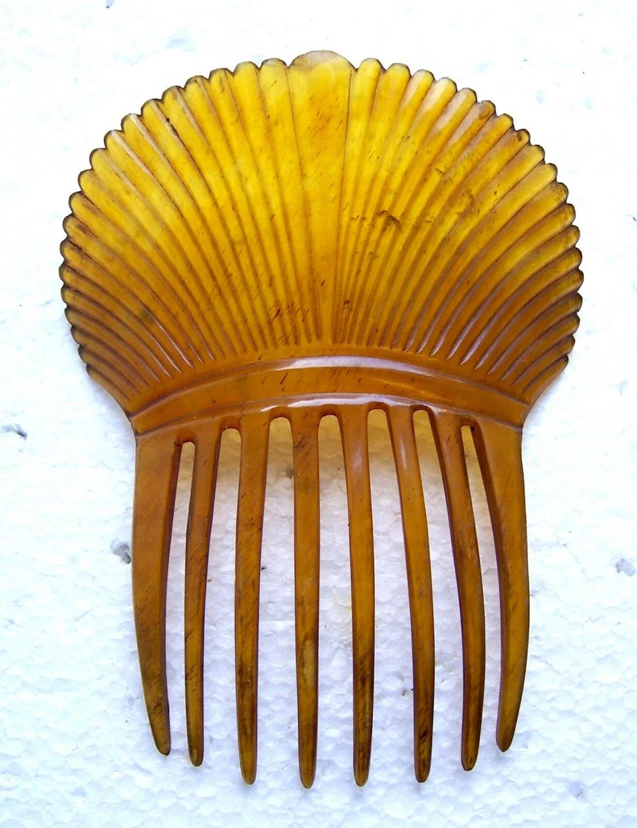 To comb in spanish sale