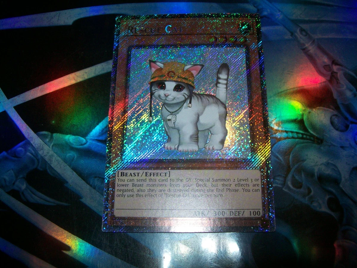 Rescue Cat RA02-EN001 25th Anniversary Rarity Collection II for