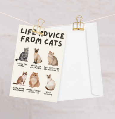 Life Advice from Cats Greeting Card, 4  × 6  Cat Lovers Card BLANK INSIDE
