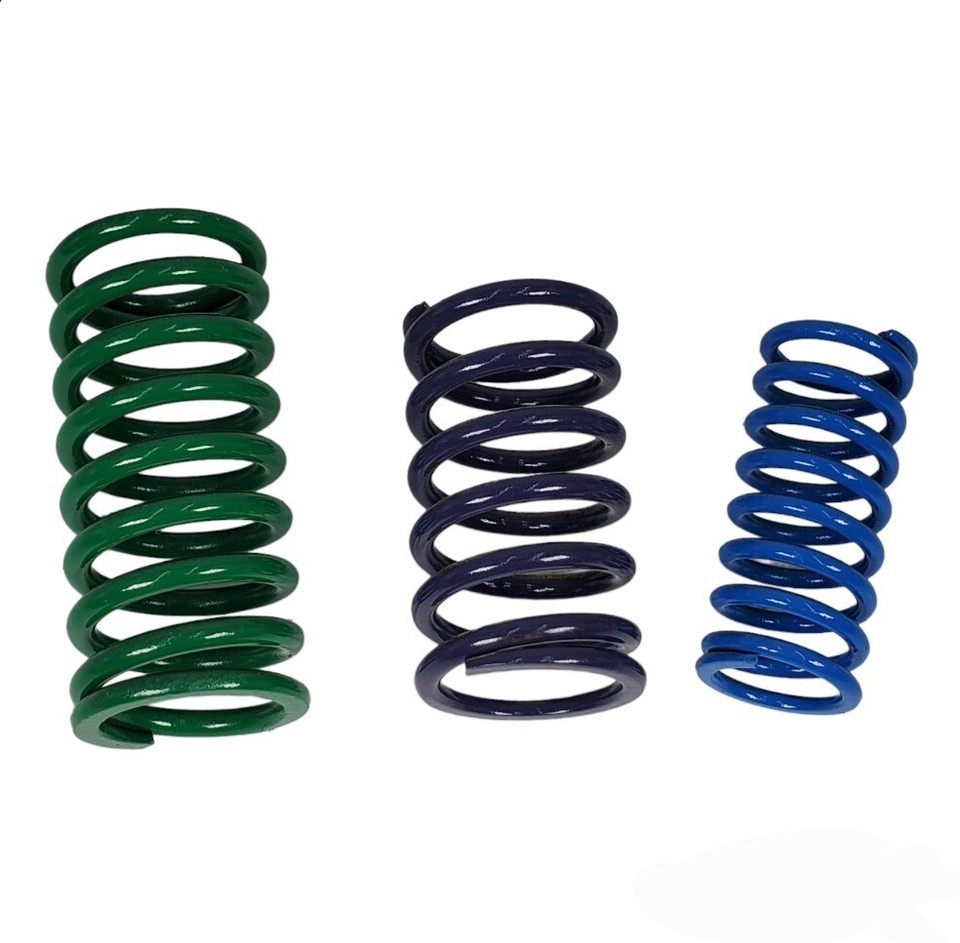 4R70W 4R75W 12 Accumulator Spring KIT OEM 1993On 4R70E 4R75E Ford. eBay