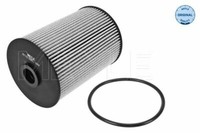 Meyle Kraftstofffilter FüR VW Beetle,Golf V Vi,Jetta III Iv; Skoda Octavia II