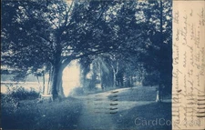 Lake George, NY New York Near Assembly Point 1906 Cyanotype Original RPPC