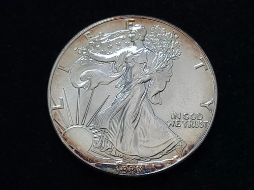 1987 $1 American Silver Eagle 1oz Fine Silver Coin #2 NICE!