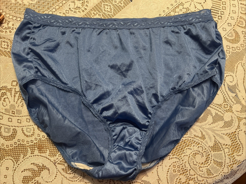 Vintage Hanes Nylon Panties Size 10 Blue Sissy Granny Retro NYLON - 第 1/5 張圖片