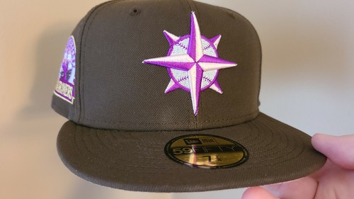 FITTED HAT NO BAD BRIM FAM CAP 