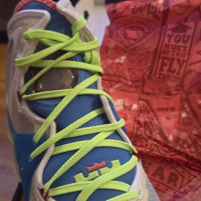 Nike Lebron XIX 19 Tropical Dutch Blue White DC9339-400 Sneakers Mens Size 13 Nike Men main image 3