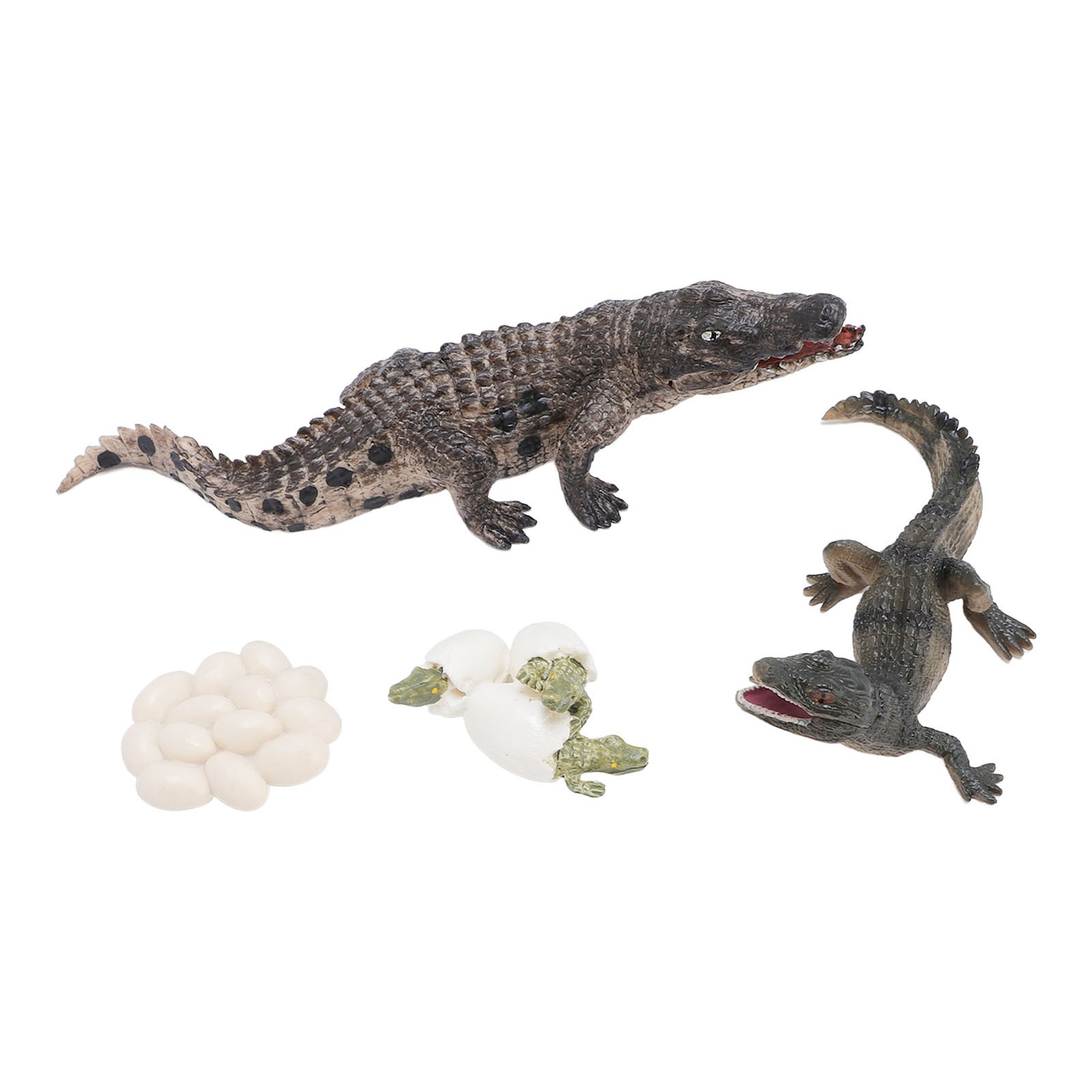 `Animal Growth Life Cycle Model PVC Cognition Reptile Animal Figures Toy Spare