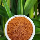 Paprika Smoked Ground 100g Shanez herbs and spices