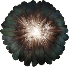 120pcs Goose Feathers 6-8 Inch 15-20cm Decorative Feather Bulk for DIY Natural