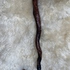 Bull Pizzle Cane  Across Taylor Original — photo 5