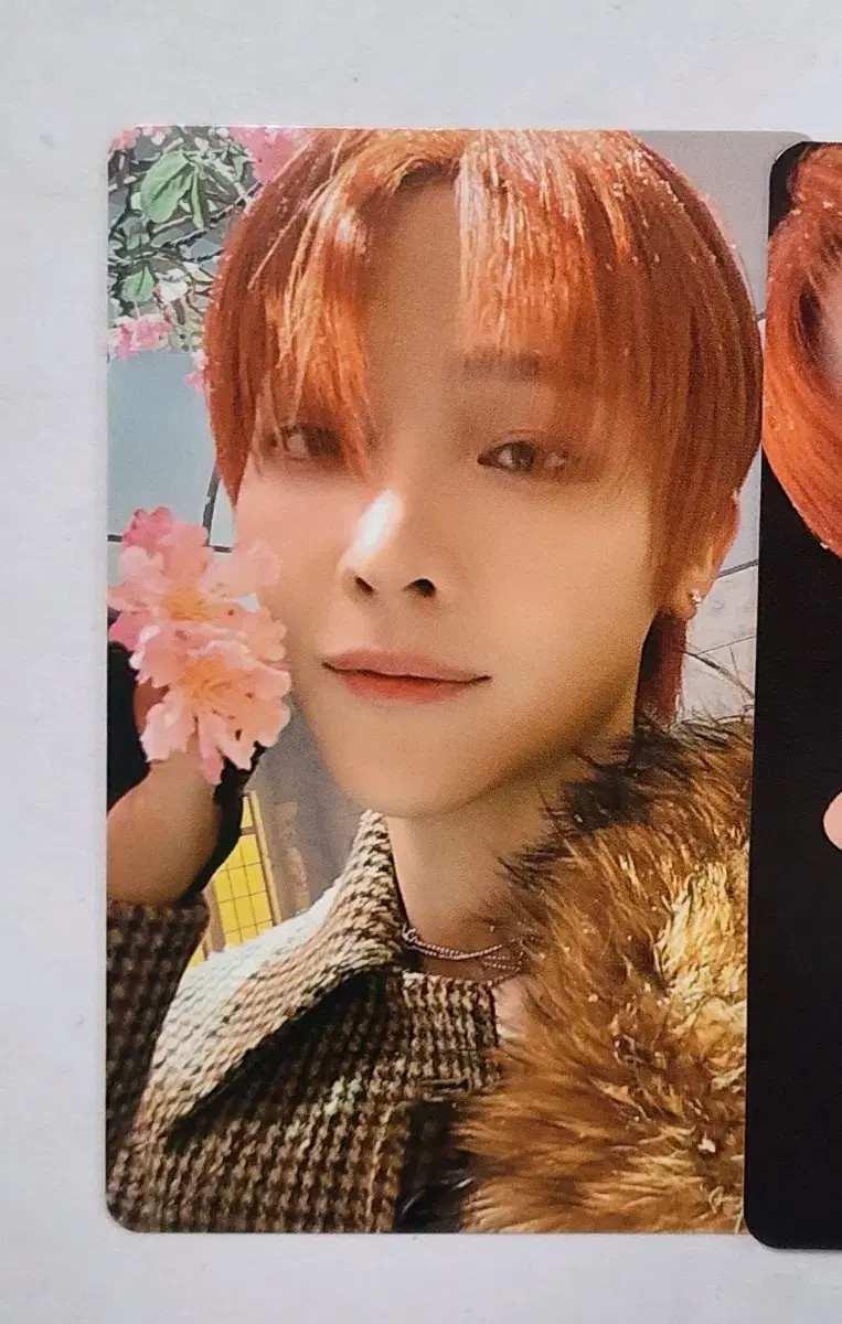 &team nicholas Photocard Lucd sell | eBay &team nicholas Photocard Lucd sell | eBay