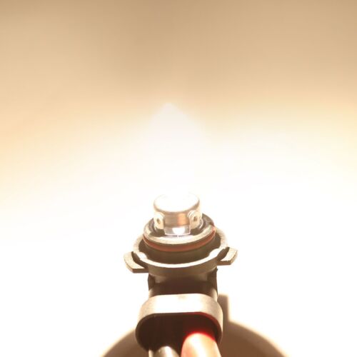 Pair H11 Halogen Headlight High/Low Beam Bulbs 65W 3200K White Basic Replacement - Picture 3 of 9