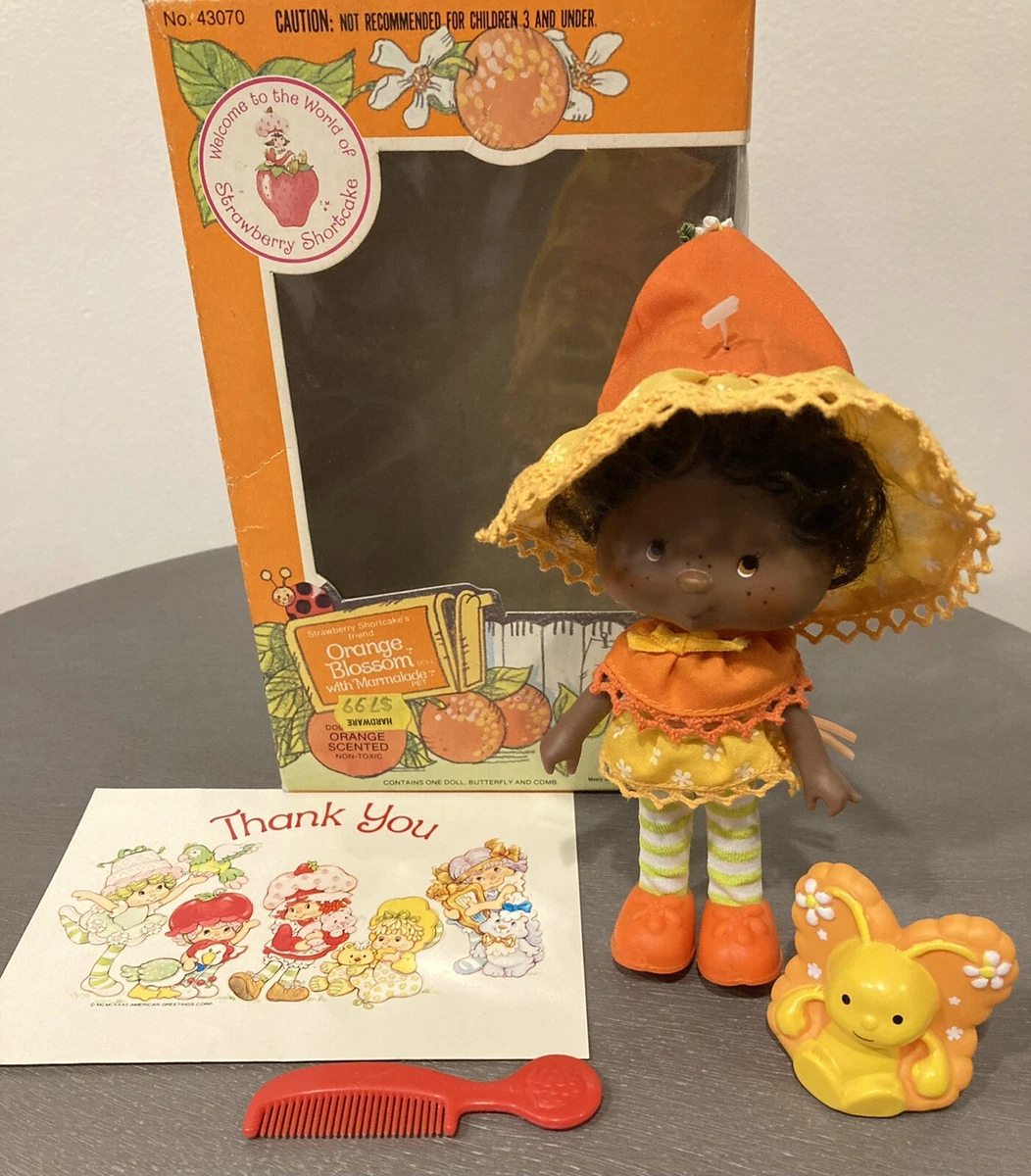 Funko Pop Strawberry Shortcake #132 Purple Pieman Berry Bird Summer Convention Exclusive by FunKo