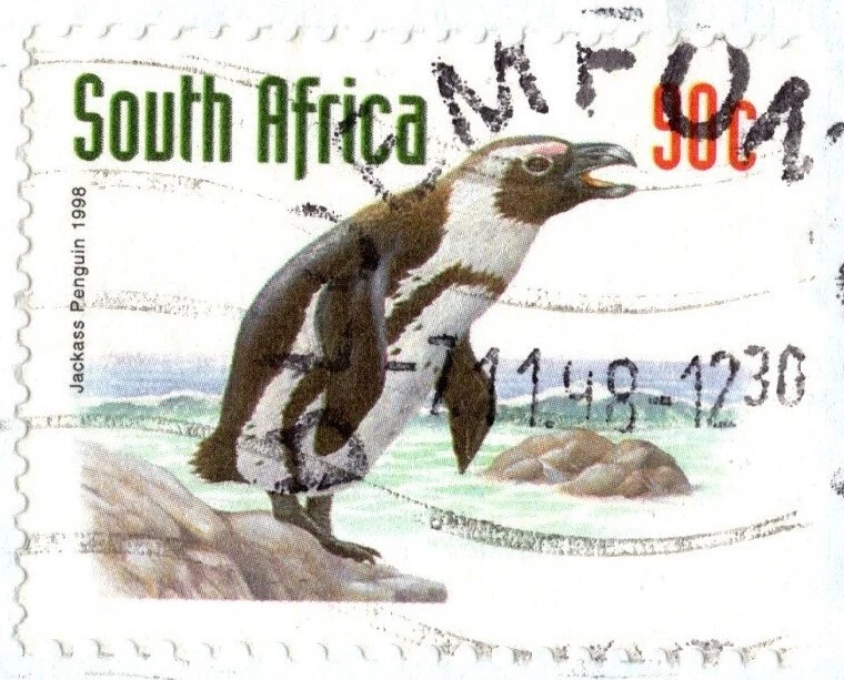 SOUTH AFRICA 1998 COVER SENT JORDAN PHILATELIC 2 STAMPS ENDANGERED FAUNA BIRDS - Image 4 of 4