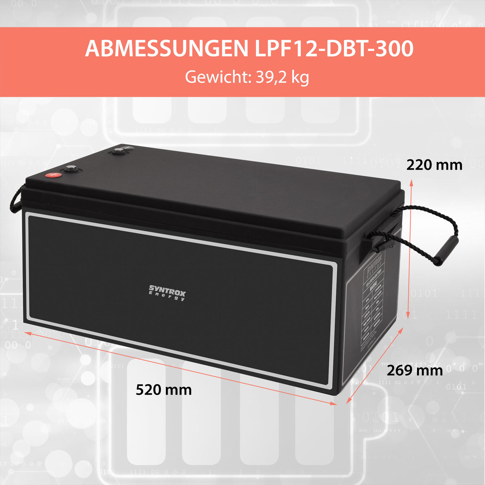 Bild 10 von 10