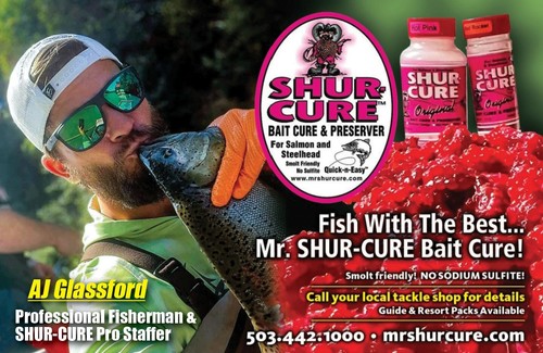 2 SHUR-CURE Shur-BrineKits: Sea Blue & Chartreuse fish Salmon halibut sturgeon - Picture 8 of 10