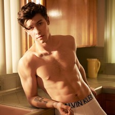 Hot Singer CK Star 33/"x24/" Poster 011 Shawn Mendes