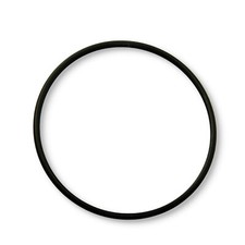 O-Ring Dichtring Dichtungsring f&uuml;r 4,5 Zoll BIG Blue Jumbo Geh&auml;use 2er Set