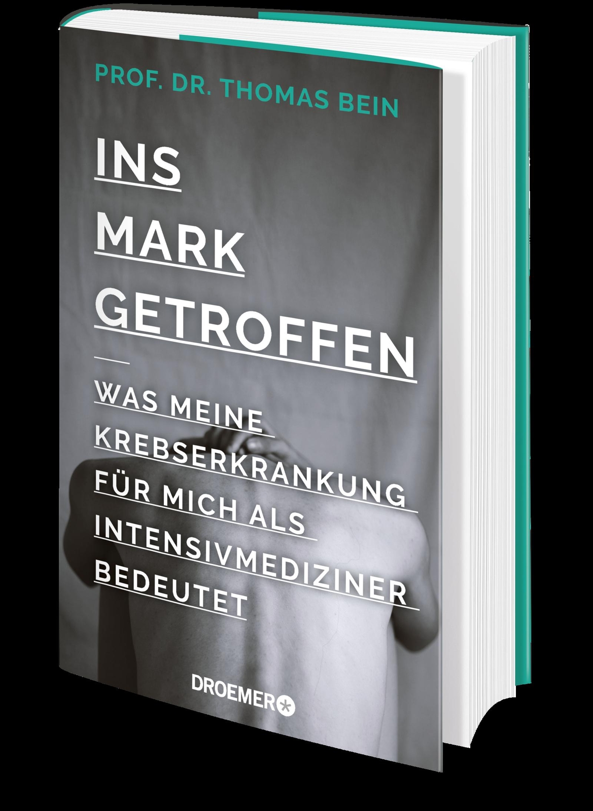 Thumbnail - Ins Mark Getroffen, Thomas Bein