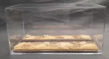 Z SCALE - SINGLE TRACK 8" - DISPLAY CASE - "DESERT  SCENE" -FOR ANY Z TRAIN