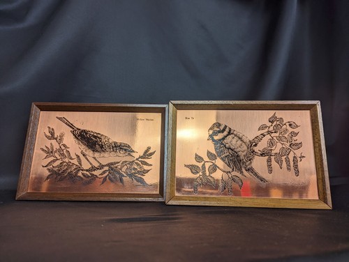 Paar Etchmaster Original Kupferradierungen gerahmt Weidensänger und Blaumeise