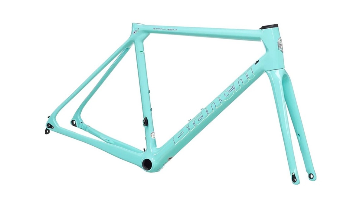 Bianchi Specialissima Frame Set 53cm | eBay