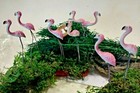 20x Miniature Pink Flamingo Bird Animal Dollhouse Fairy Garden Terrarium Decor