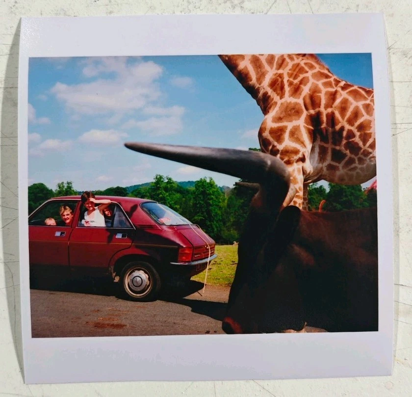 martin parr products for sale | eBay