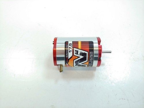 Fantom 17.5 Turn ION Spec Pro Brushless Racing Motor | eBay