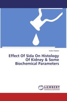 Kebe Obeten | Effect Of Sida On Histology Of Kidney & Some Biochemical...