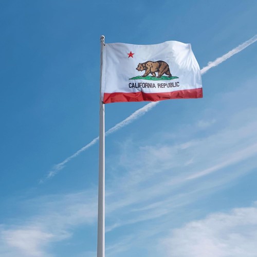 Anley EverStrong Embroidered California State Flag 3x5 Ft Polyester CA Flag - Picture 6 of 8