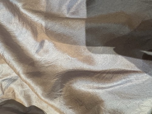 Dosa Silk Iridescent Maxi Skirt W/ Lace Hem Size 3 ( M/ L) - Picture 3 of 6