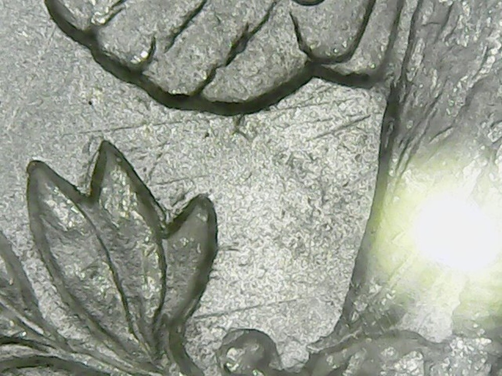 Picture 7 of 7
