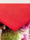 Bild 204 von 283